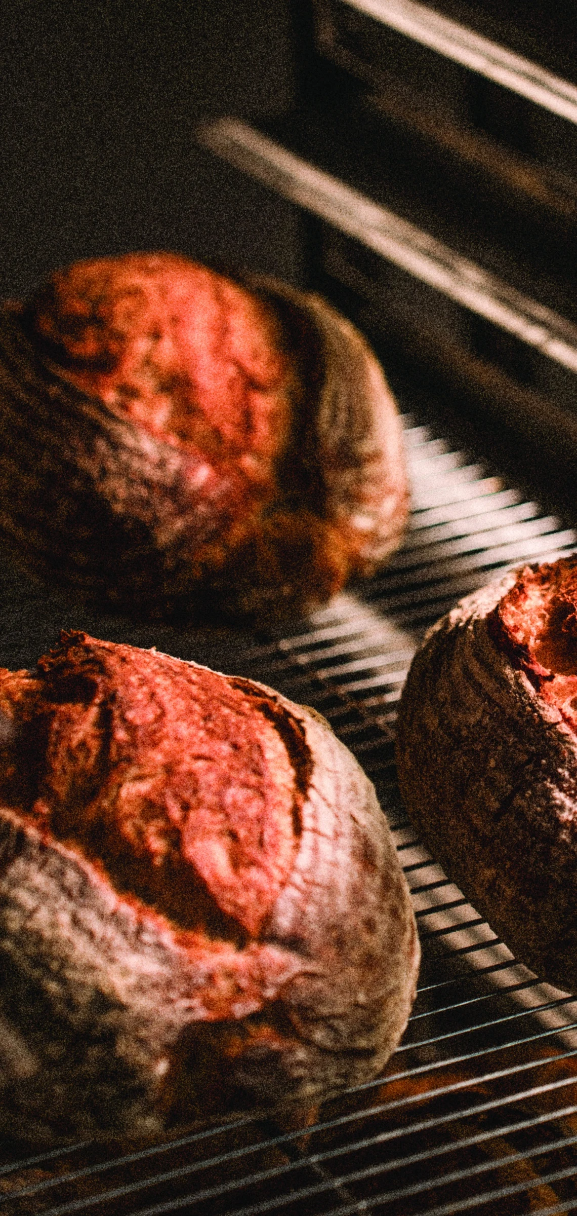 Deeply browned sourdough loaves cooling on a wire rack in warm light