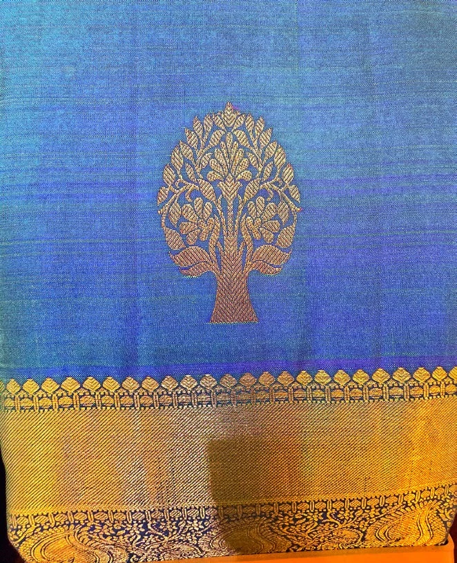 Gold zari and a contrasting border give a silk saree its distinctive character.